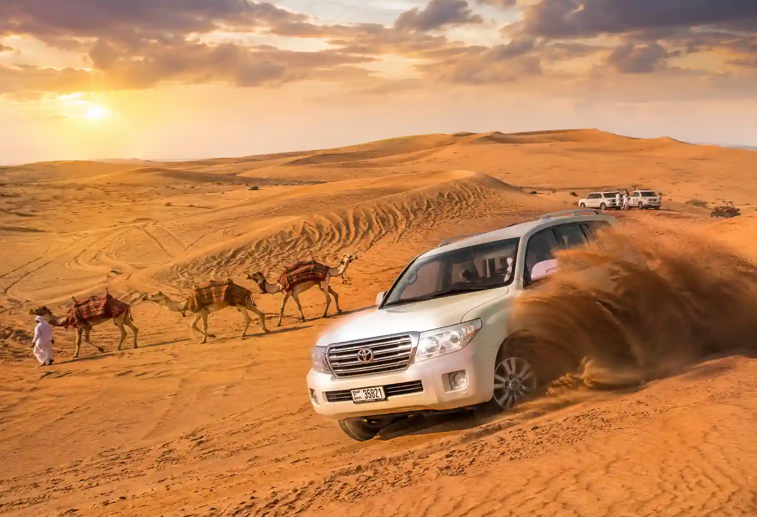 Camel ride during sunset in the Dubai desert